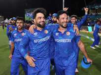 这所学校在 这所学校在